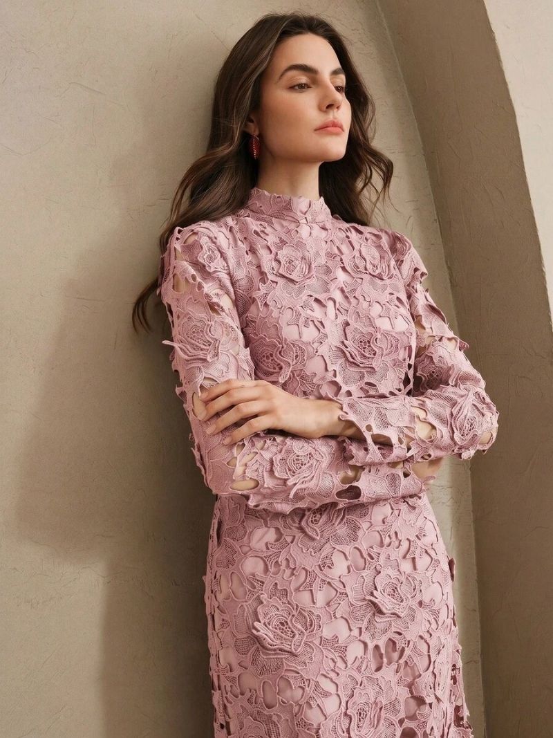 Dusty Rose